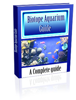 Crafts &amp; Hobbies - Biotope Aquarium Guide - Ebook was listed for R11 