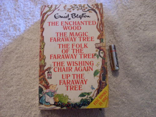 The enchanted wood, the magic faraway tree, the folk of the faraway 
